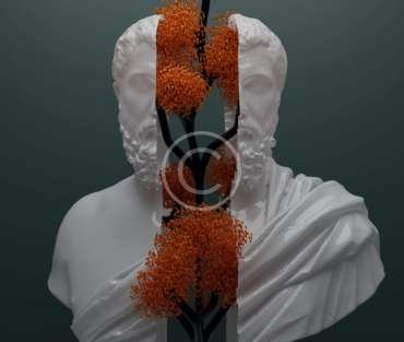 Broken Sculpture